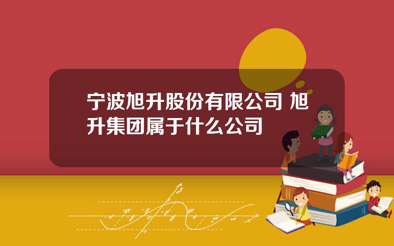 宁波旭升股份有限公司 旭升集团属于什么公司